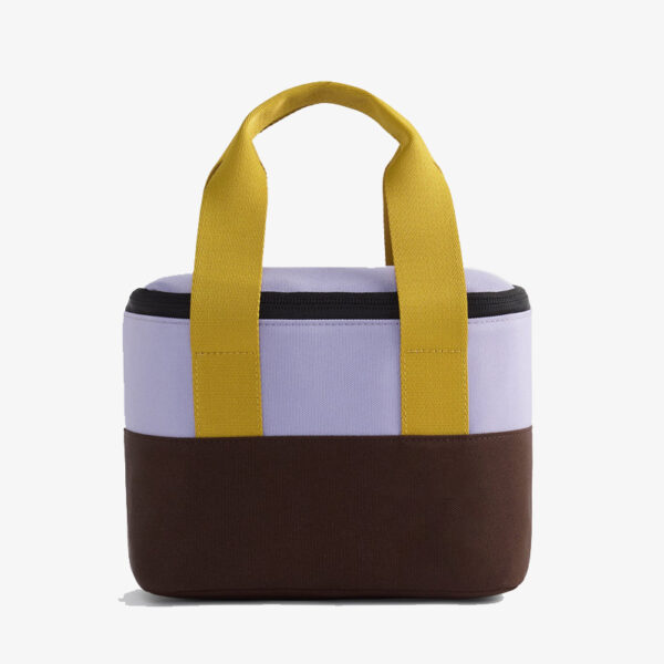 Manufacturer Custom With Printed Logo Soft Small Mini Picnic Food Meal Bento Insulated Cooler Lunch Box Bag for Adults Men Women